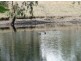 Sect 898 Menglers Hill Road, Angaston SA 5353