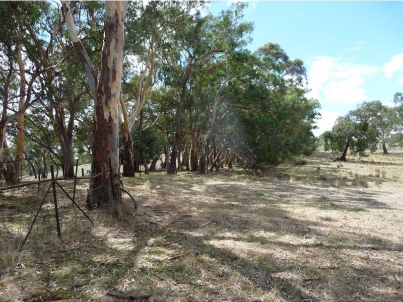 Sect 898 Menglers Hill Road, Angaston SA 5353