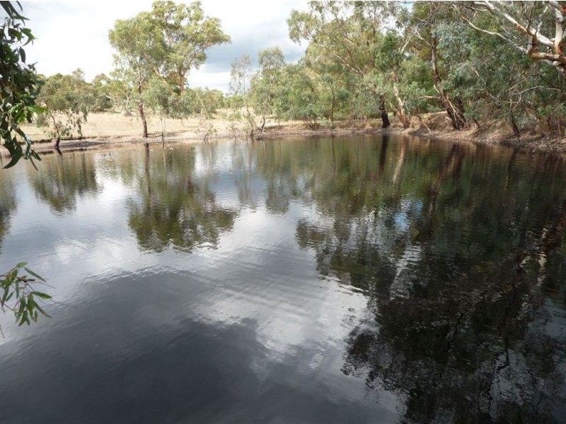 Sect 898 Menglers Hill Road, Angaston SA 5353