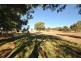 5 Leaney Court, Angaston SA 5353