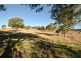 5 Leaney Court, Angaston SA 5353