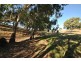 5 Leaney Court, Angaston SA 5353