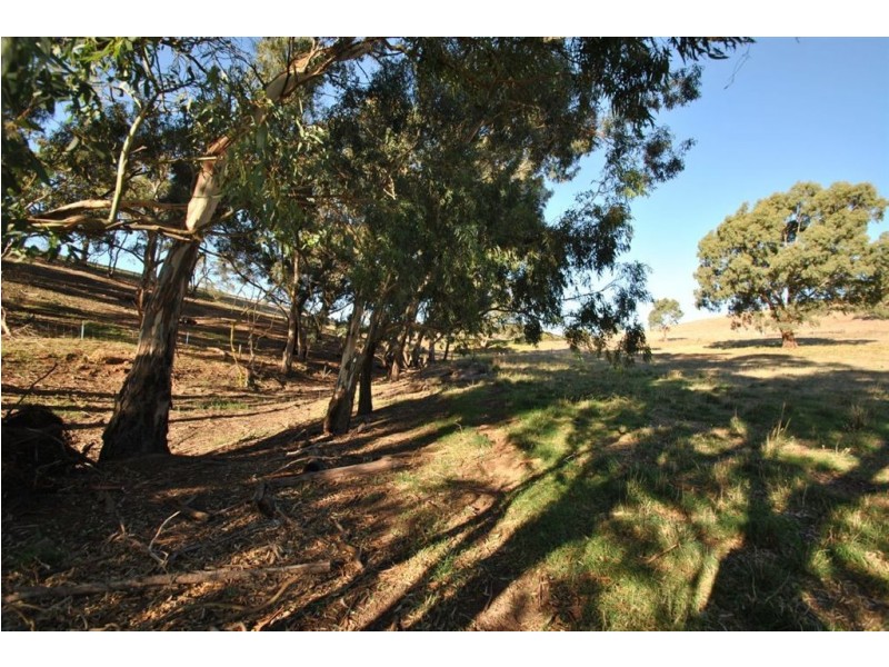 5 Leaney Court, Angaston SA 5353