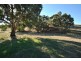 5 Leaney Court, Angaston SA 5353