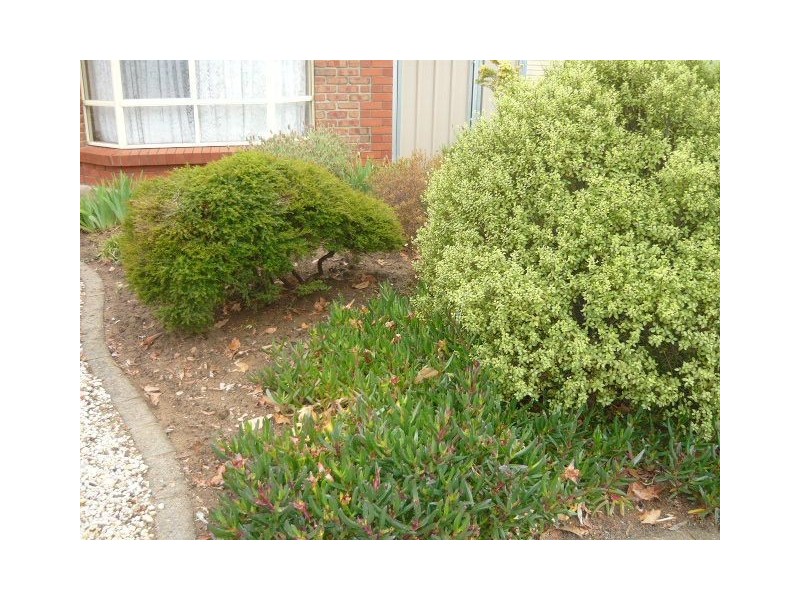 20B Coronation Avenue, Tanunda SA 5352