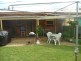 90 Penrice Road, Penrice via, Angaston SA 5353