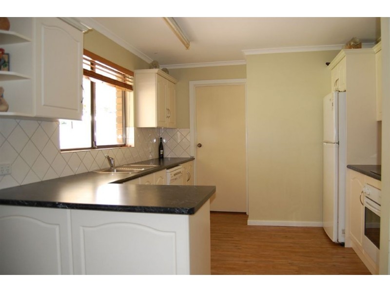 17 Elizabeth Avenue, Nuriootpa SA 5355