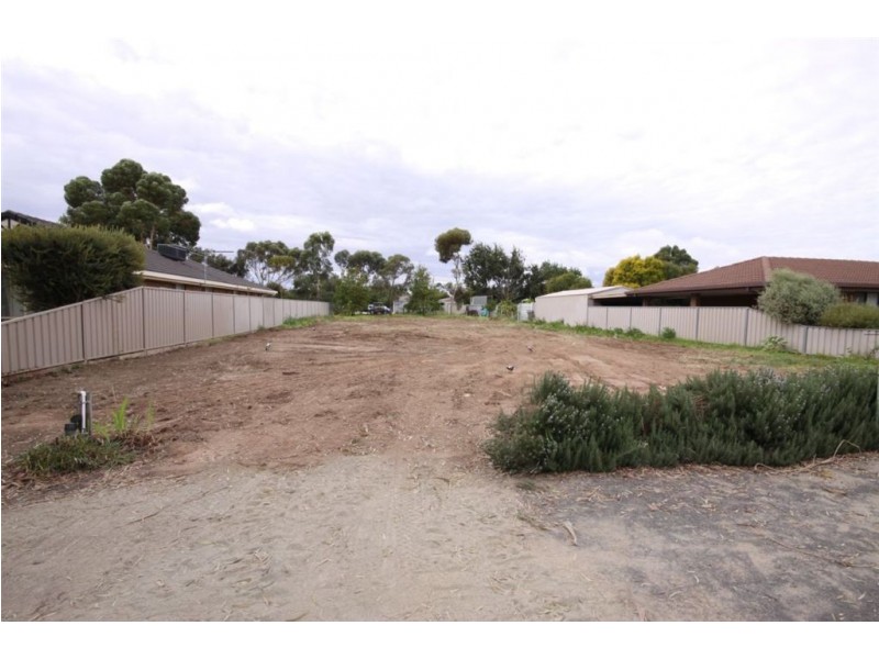 20 Baird Street, Nuriootpa SA 5355