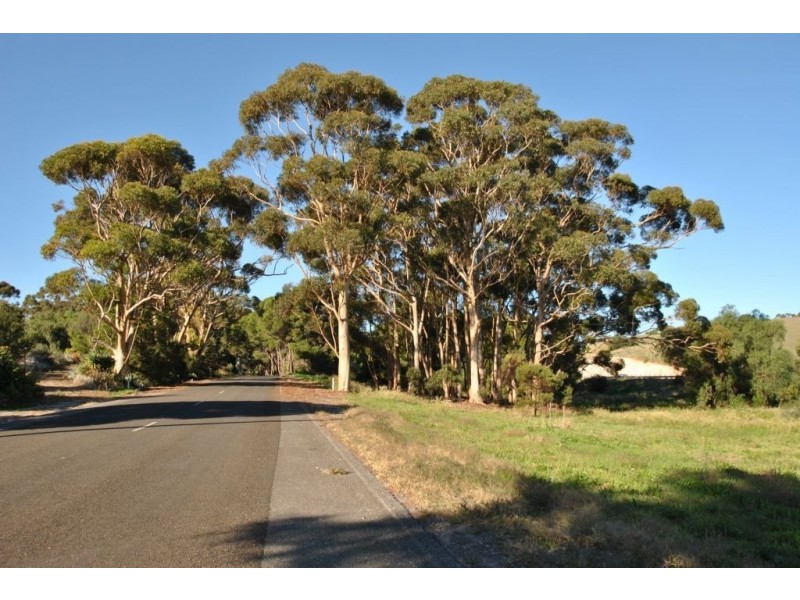 Lot 614 Old Sturt Highway, Daveyston SA 5355