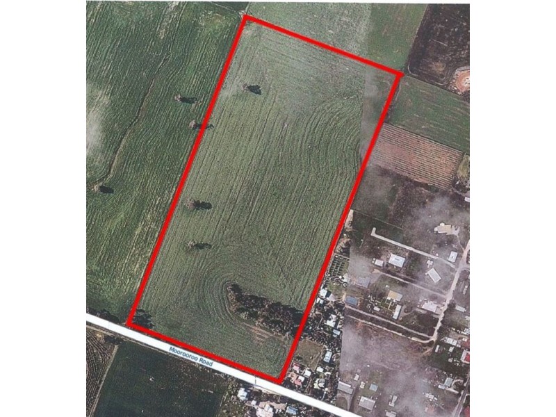 Lot 528 Moculta Road, Moculta SA 5353