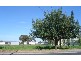 23 Magnolia Street, Tanunda SA 5352