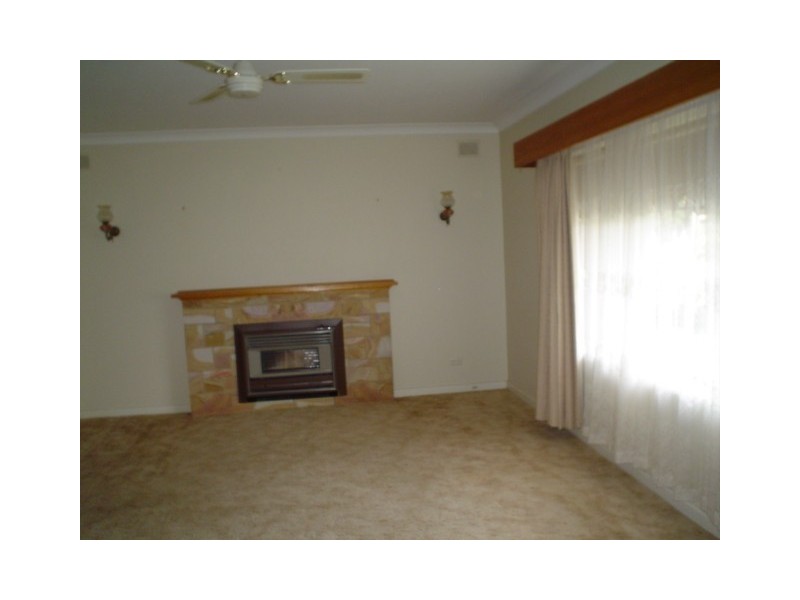 29 Angas Street, Tanunda SA 5352
