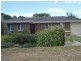 19 Elizabeth Avenue, Nuriootpa SA 5355
