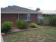 19 Elizabeth Avenue, Nuriootpa SA 5355