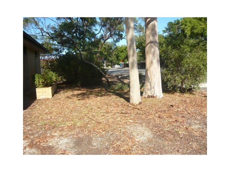 197 Murray Street, Tanunda SA 5352