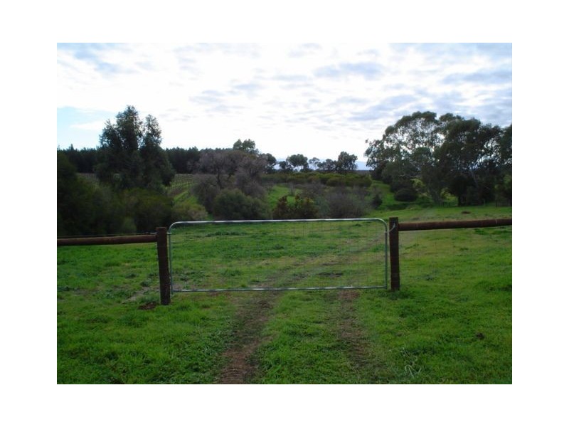 Lot 36 Steingarten Road, Rowland Flat SA 5352
