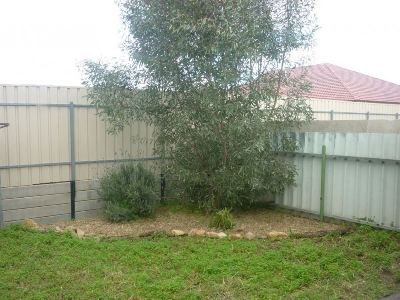 4/162 Murray Street, Nuriootpa SA 5355