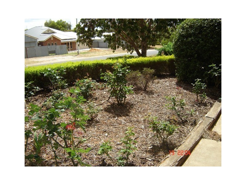 0 Corner Tolley and Samuel Roads, Nuriootpa SA 5355