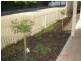 3 Harriet Street, Kapunda SA 5373