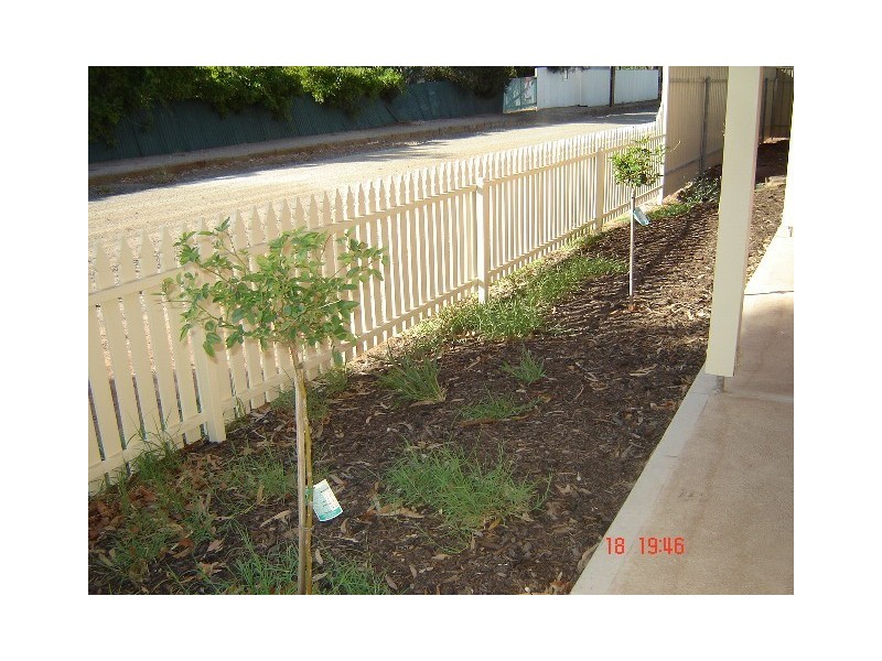 3 Harriet Street, Kapunda SA 5373