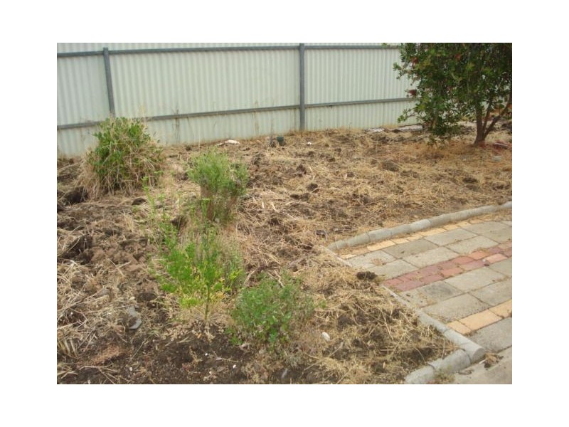 2/31 Baird Street, Nuriootpa SA 5355