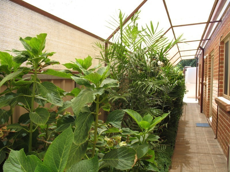 19 Auricht Avenue, Tanunda SA 5352