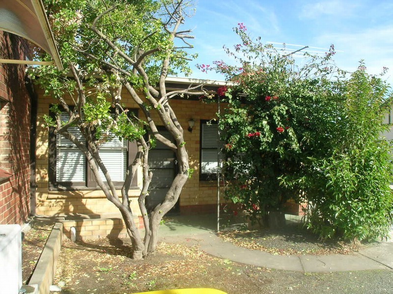 19 Gawler Street, Nuriootpa SA 5355