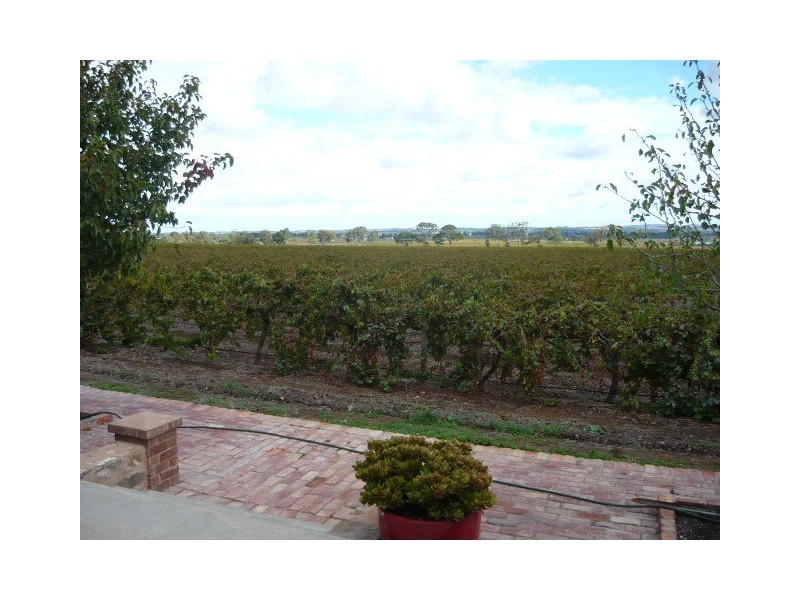 0 Saleyard Road, Angaston SA 5353