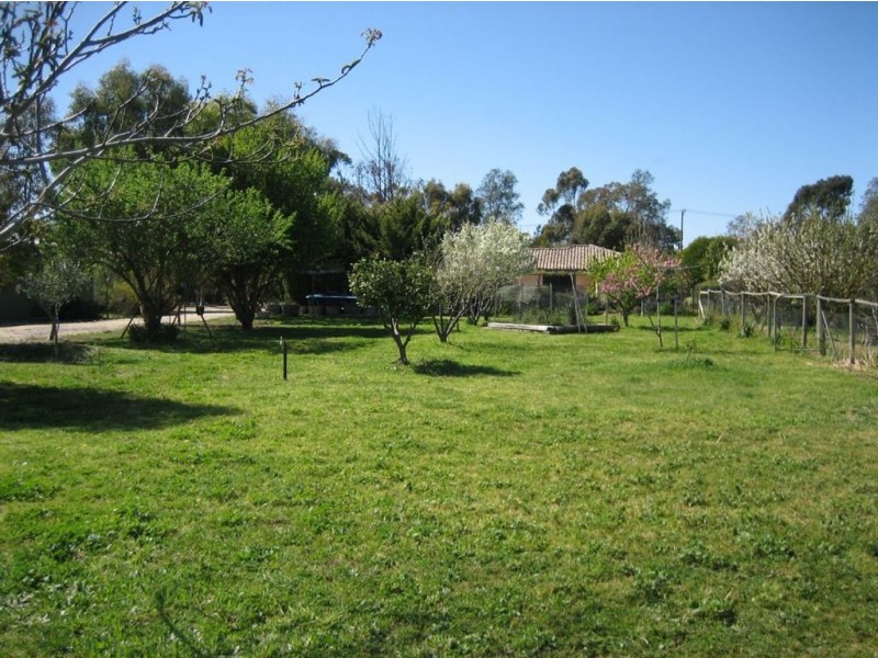 13 Milway Avenue, Nuriootpa SA 5355