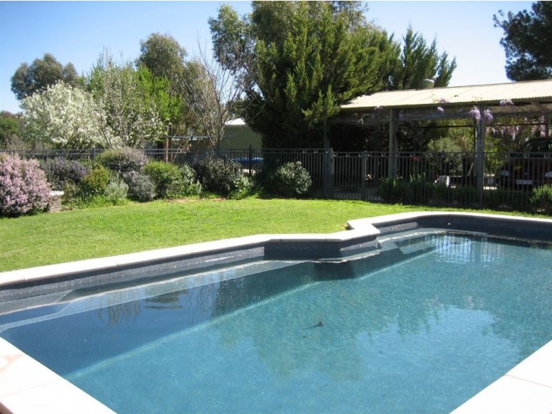 13 Milway Avenue, Nuriootpa SA 5355