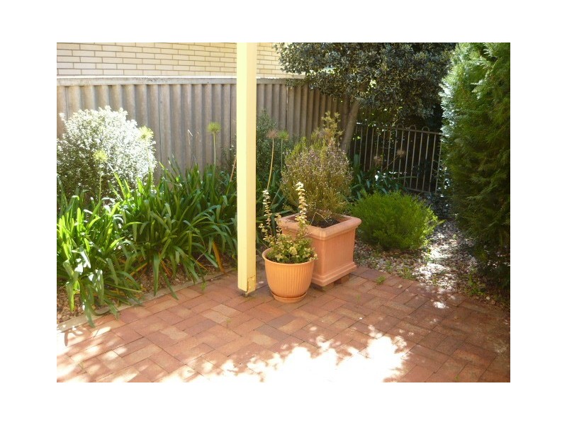11 Armstrong Avenue, Nuriootpa SA 5355