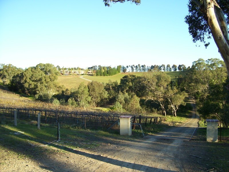Lot 3 Pipeline Road, Angaston SA 5353