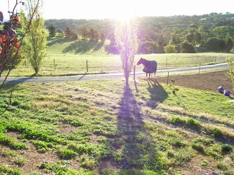 Lot 3 Pipeline Road, Angaston SA 5353