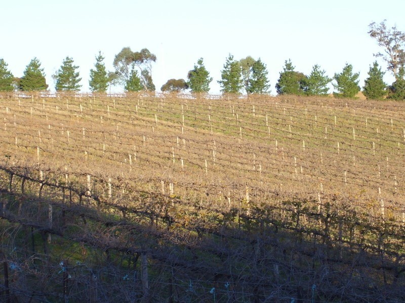 Lot 3 Pipeline Road, Angaston SA 5353