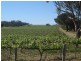 Lot 643 Greenock Road, Nuriootpa SA 5355