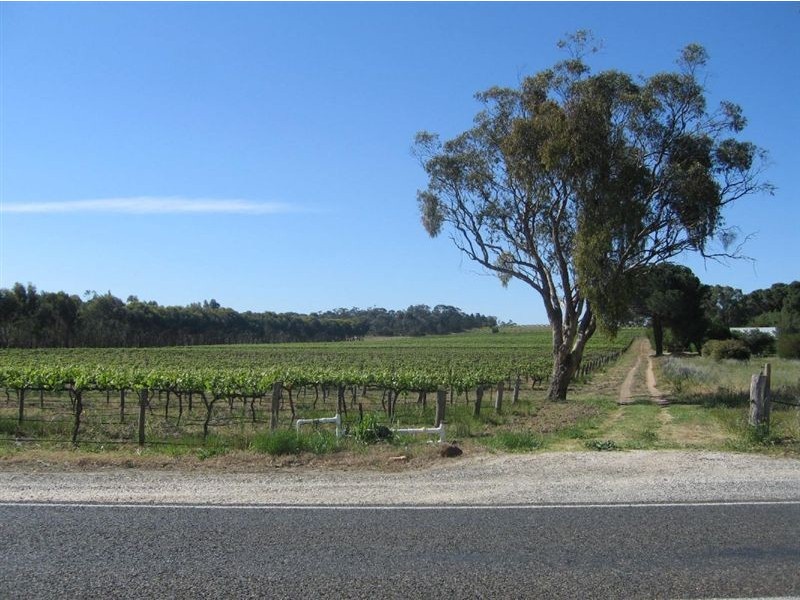 Lot 643 Greenock Road, Nuriootpa SA 5355