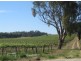 Lot 643 Greenock Road, Nuriootpa SA 5355