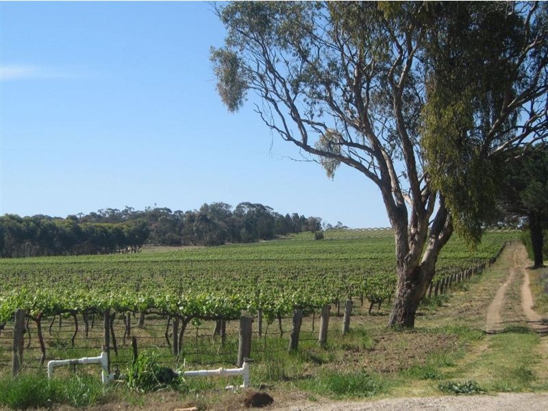 Lot 643 Greenock Road, Nuriootpa SA 5355