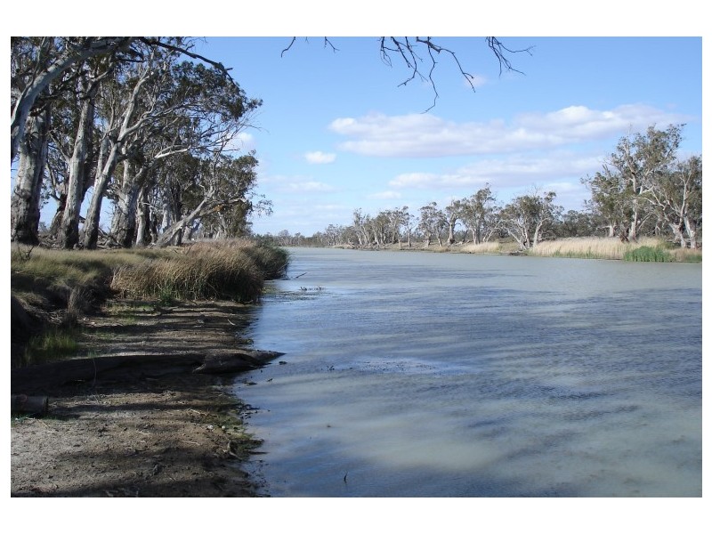 Lot 123 Swan Reach/Blanchetown Road, Blanchetown SA 5357