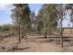 Lot 123 Swan Reach/Blanchetown Road, Blanchetown SA 5357