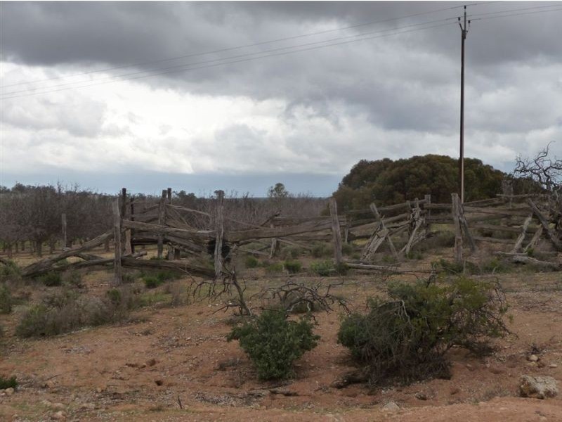 Lot 123 Swan Reach/Blanchetown Road, Blanchetown SA 5357