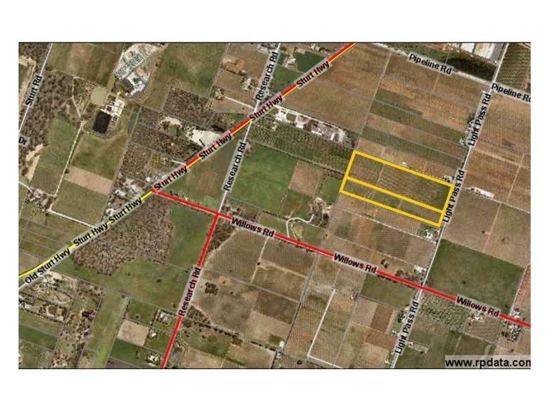 L357 & 358 Light Pass Road, Light Pass SA 5355