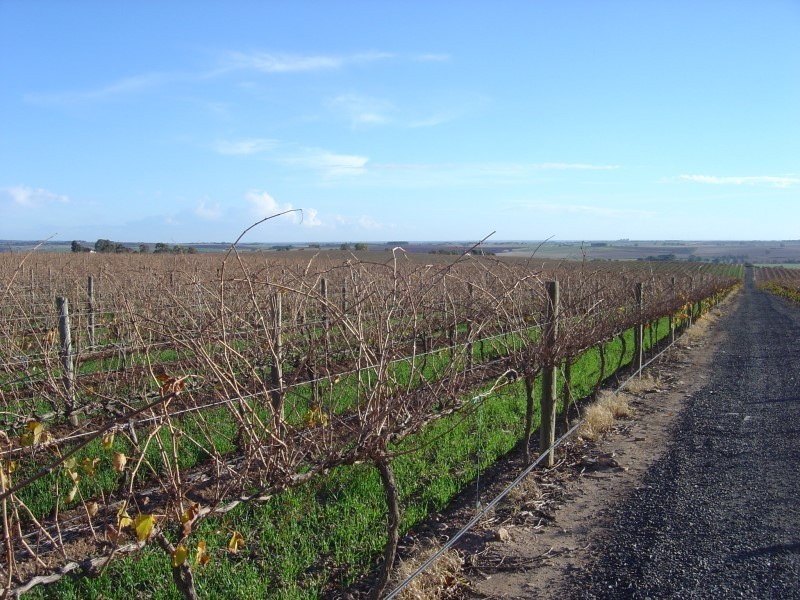 Lot 61 Gomersal Road, Gomersal SA 5352