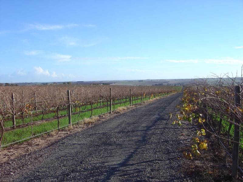 Lot 61 Gomersal Road, Gomersal SA 5352