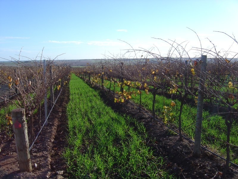 Lot 61 Gomersal Road, Gomersal SA 5352