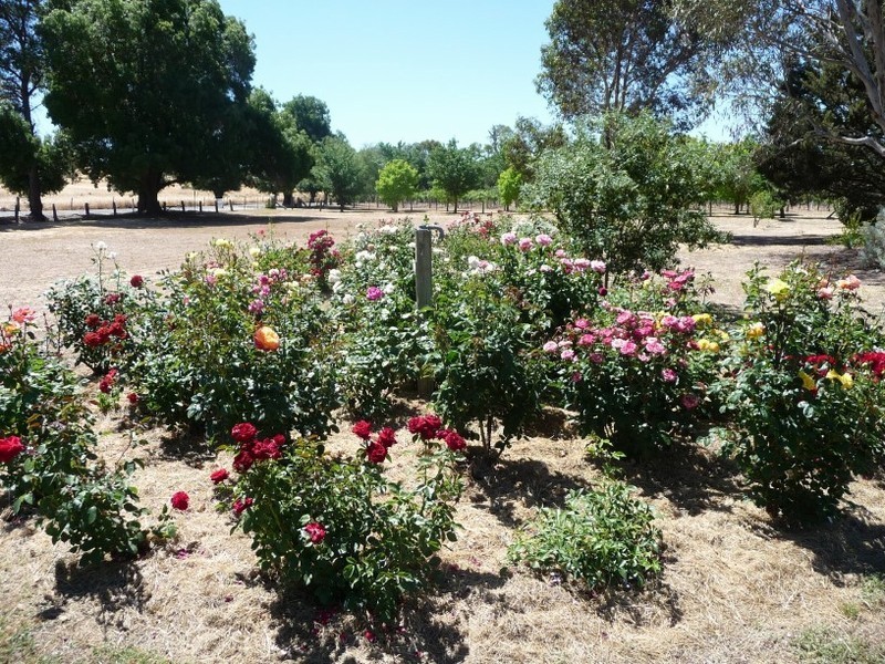 Lot 724 Mount Pleasant, Eden Valley SA 5235