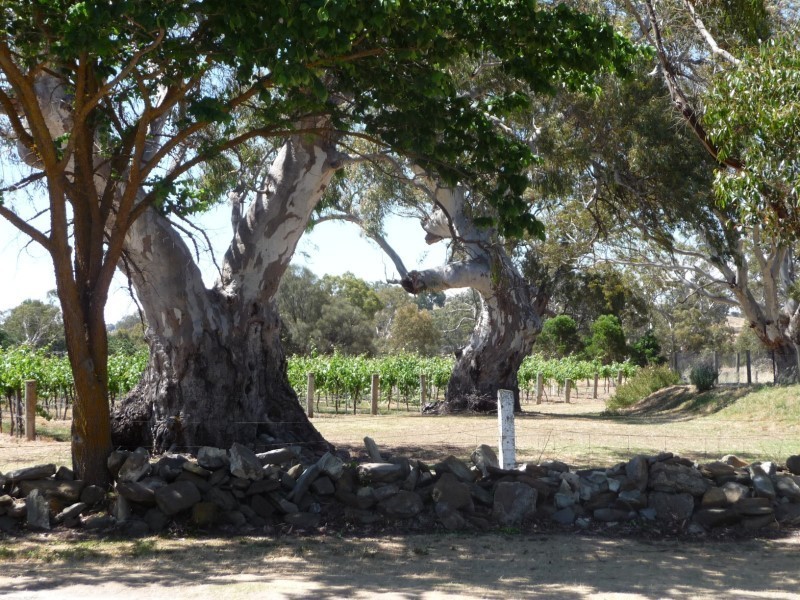 Lot 724 Mount Pleasant, Eden Valley SA 5235