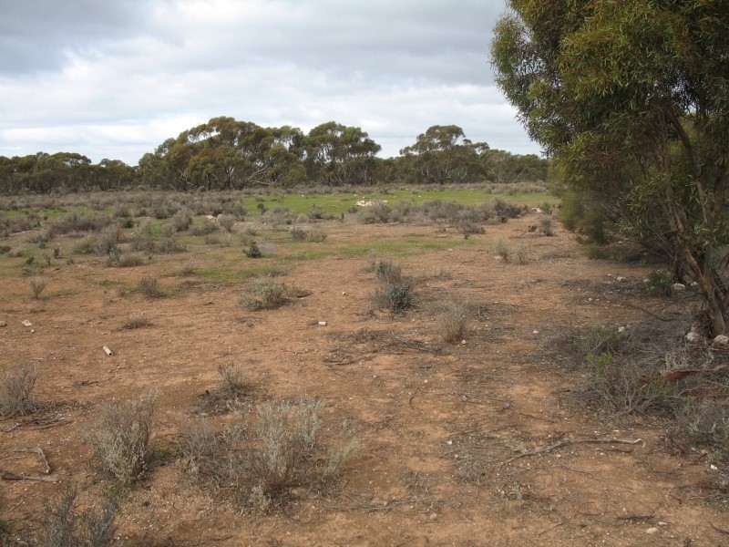 Lot 726 Frost Road, Sedan SA 5353