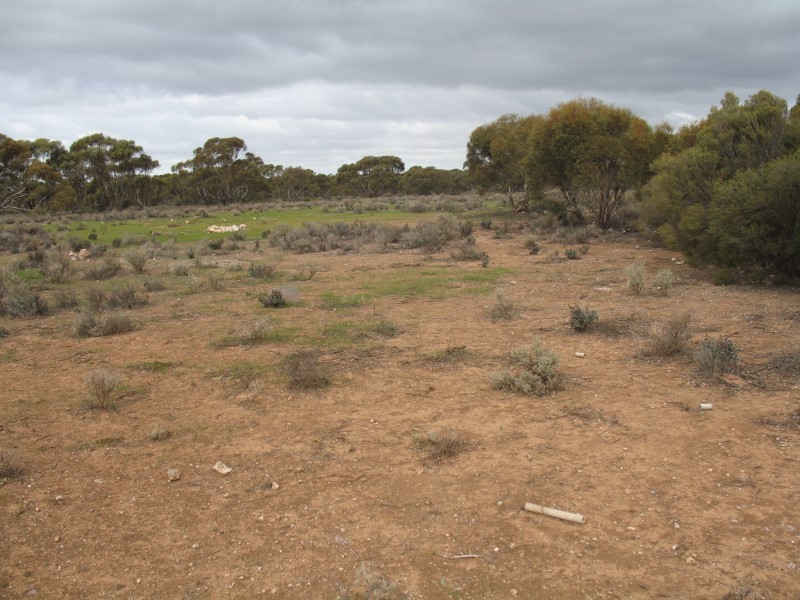 Lot 726 Frost Road, Sedan SA 5353