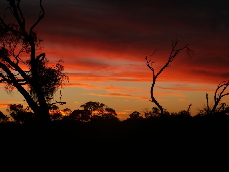 Lot 726 Frost Road, Sedan SA 5353